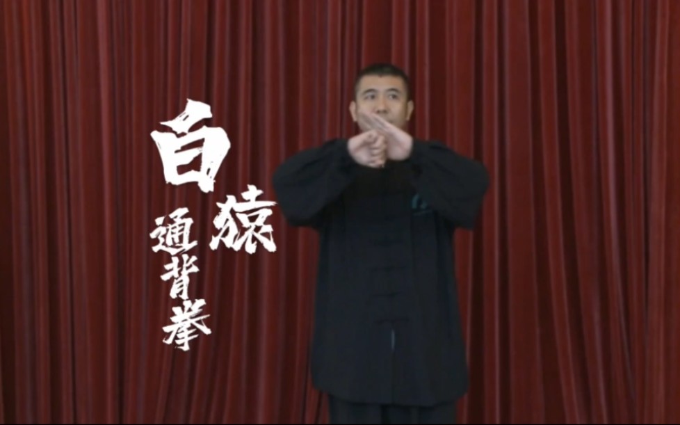 白猿通背拳哔哩哔哩bilibili