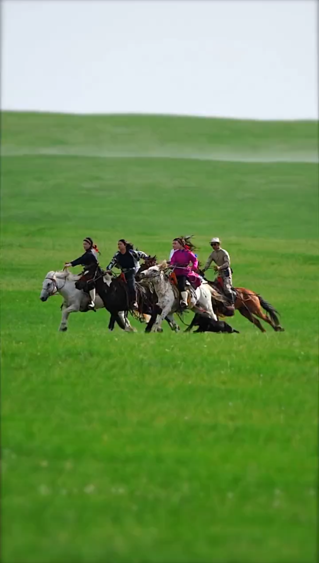 每一个男人应该都有一个驰骋草原的梦!