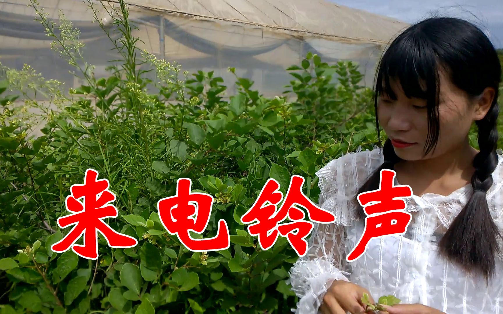 送给老情人的一首来电铃声,不对!应该是初恋情人