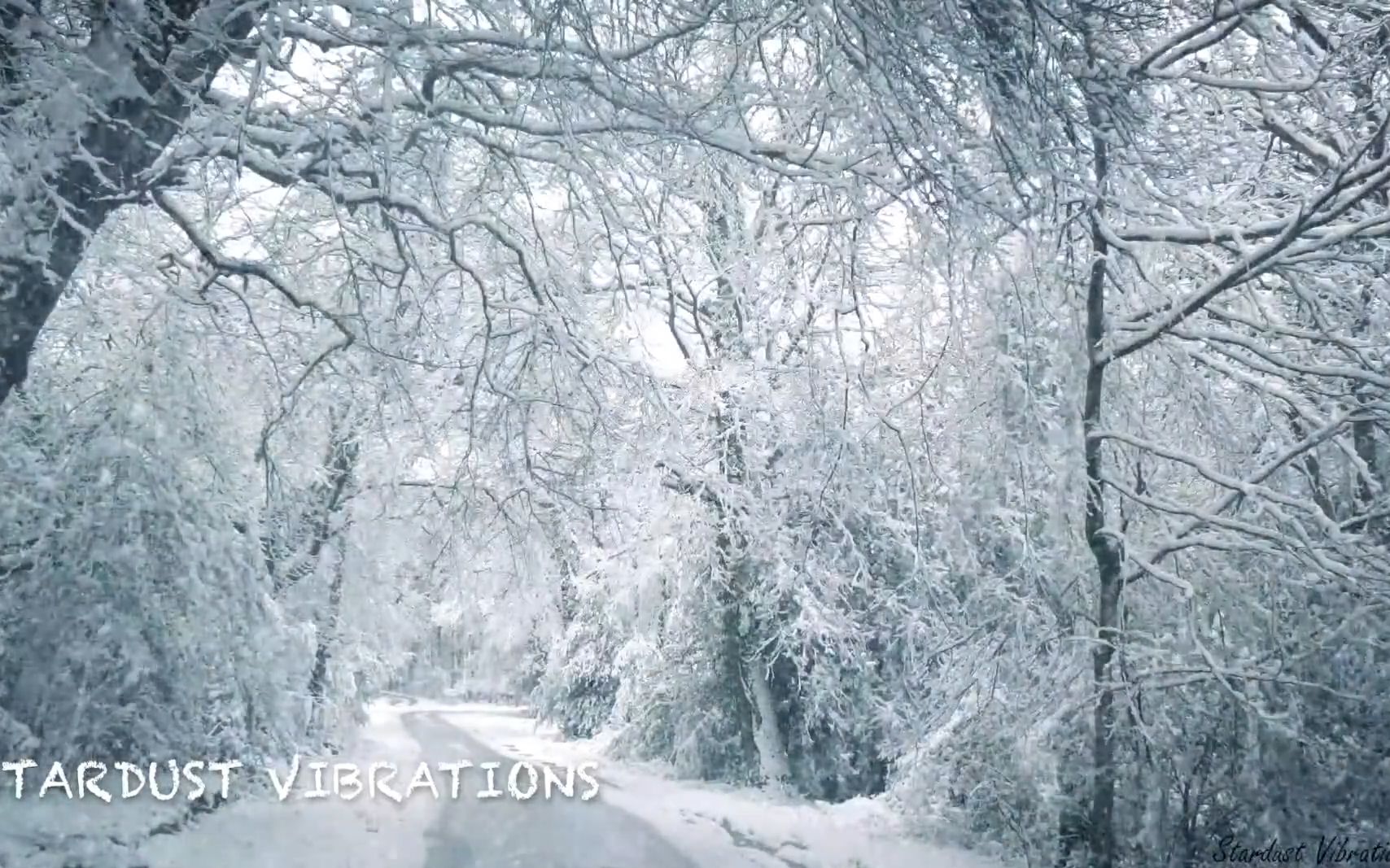 [图]10小时暴风雪的声音使您放松，暴风雪的声音和森林中的狂风-真实场景声