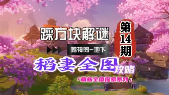 Descargar video: 稻妻全图攻略14期：荒海地下踩方块解谜！