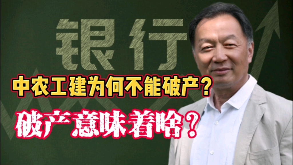 温铁军:中农工建为何不能破产?如果破产意味着啥?哔哩哔哩bilibili