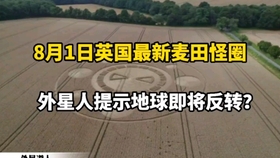 21年5月英国新麦田怪圈 看似平凡 实际并不简单 哔哩哔哩 つロ干杯 Bilibili