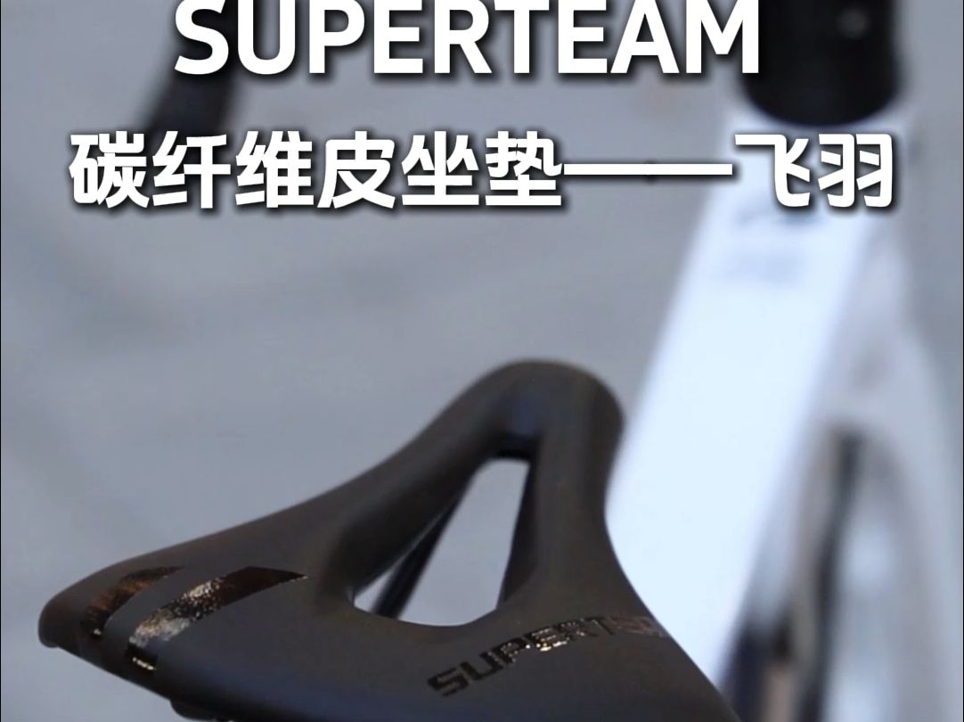 SUPERTEAM碳纤维坐垫飞羽哔哩哔哩bilibili