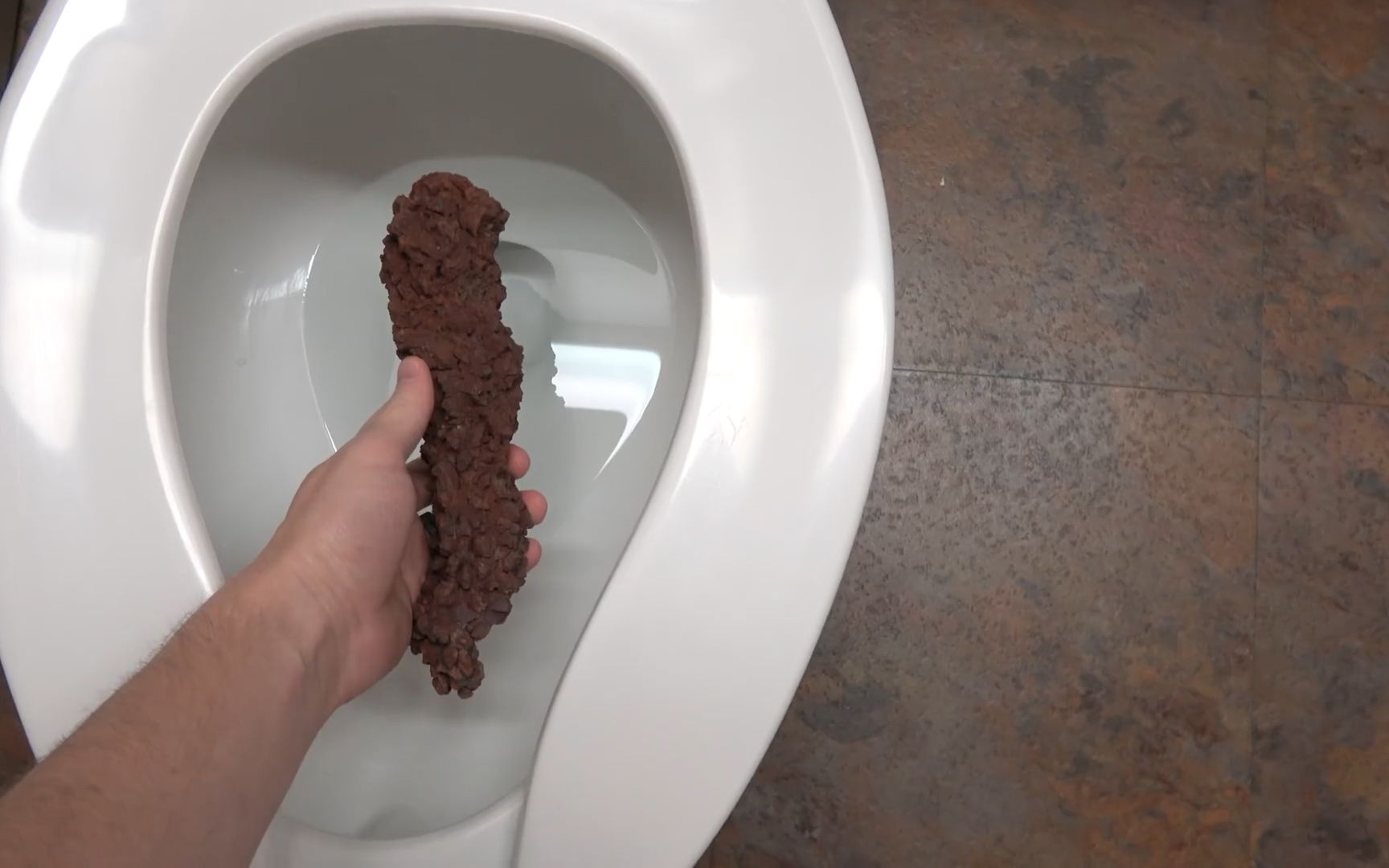 远古时期的恐龙屎,里面到底是什么样?一块价值7万美刀