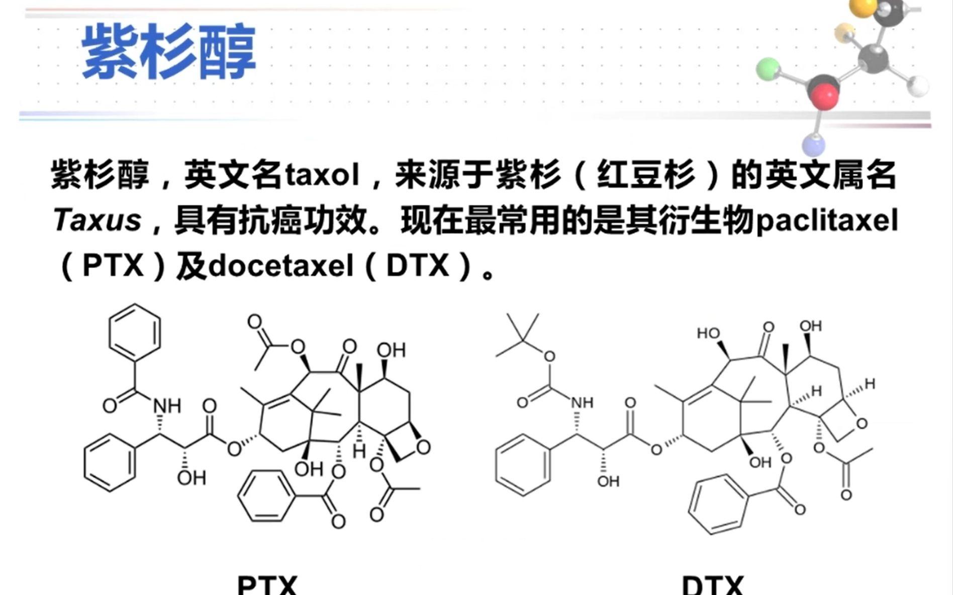 厦门大学化学化工学院优质生源基地科普讲座——合成的进化:紫杉醇的故事哔哩哔哩bilibili