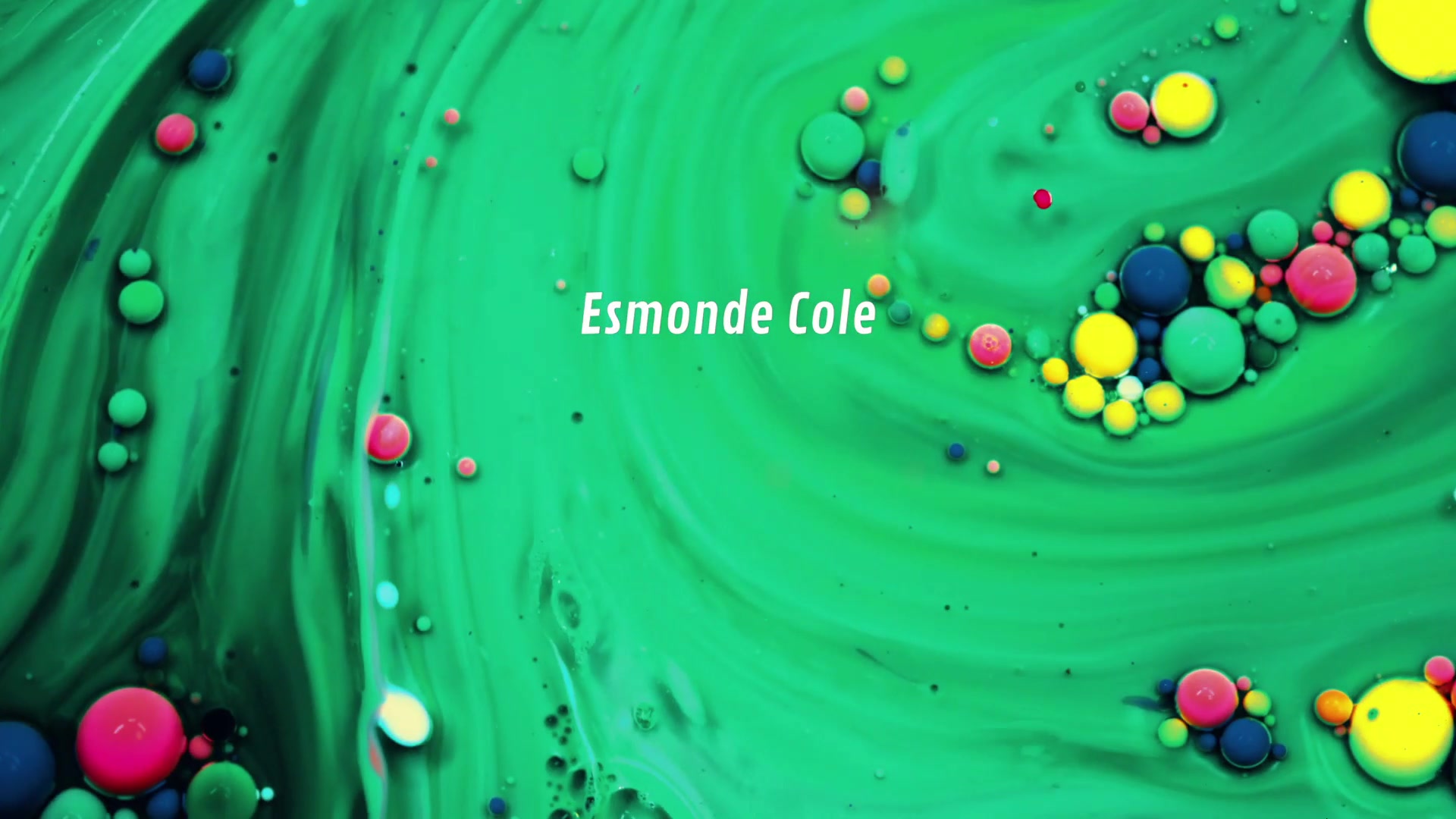 化身侦探—游戏试玩———the shapeshifting detective