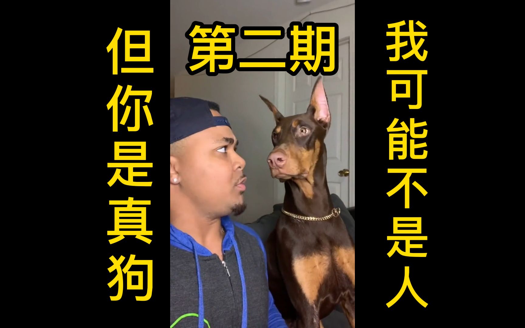 活动作品我可能不是人但你是真狗第二期