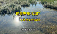 果然是大西洋最后一滴眼泪，有一种蓝叫赛里木湖蓝