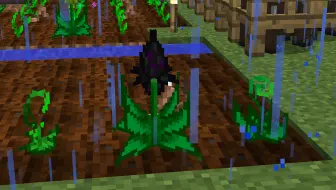 大熊 Minecraft飞翔之路2 Part9 神秘农业 精华作物 哔哩哔哩 Bilibili