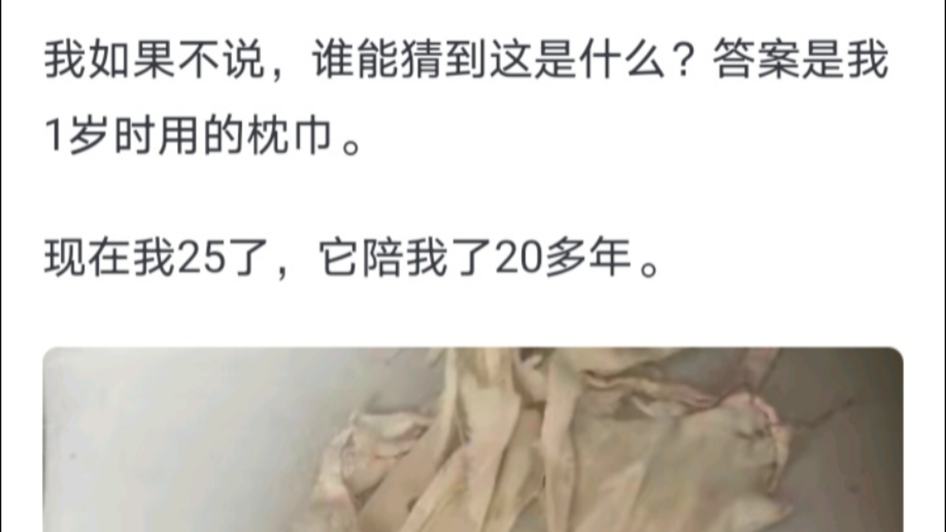 你最离不开的阿贝贝是什么?哔哩哔哩bilibili