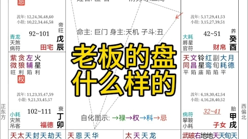 紫微斗数,老板的盘是什么样的哔哩哔哩bilibili