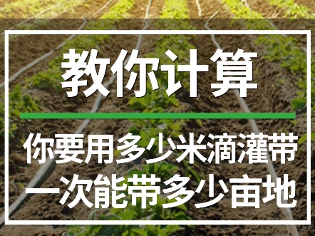 一亩地用多少米滴灌带怎么算?滴灌一次能带多少亩地?一个视频教会你,赶紧点赞收藏起来!#滴灌带 #滴灌喷灌水肥一体化 #智慧农业 #农业种植技术哔...