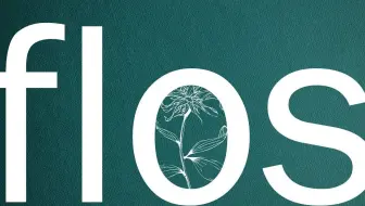 【初音未来】flos【R Sound Design】