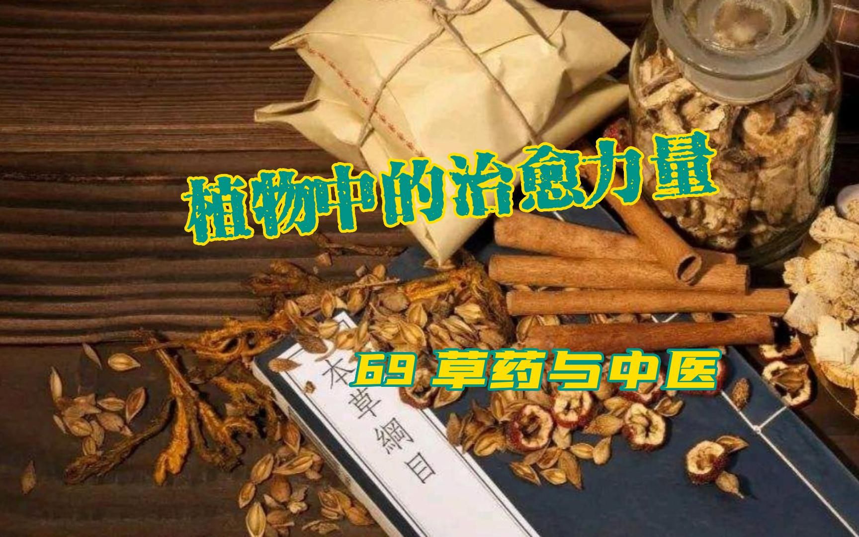 [图]植物中的治愈力量——向小学生科普69：草药与中医