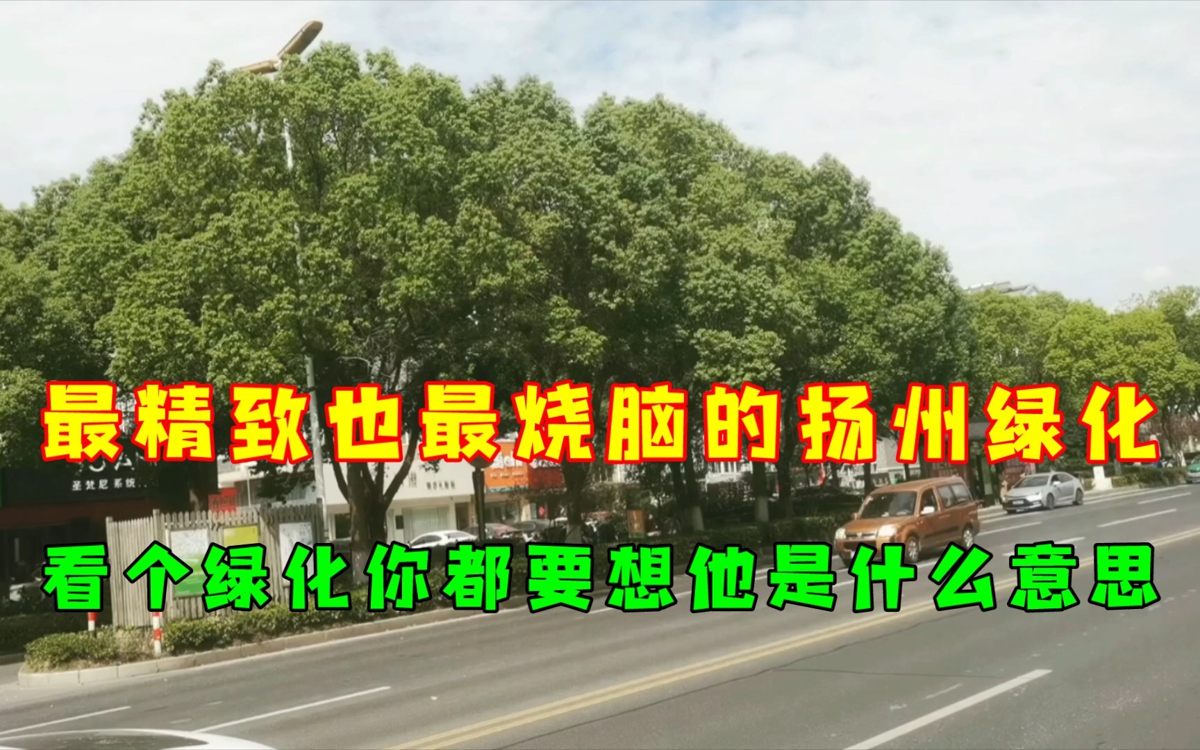 最精致也最烧脑的扬州绿化,看个绿化他都让你想要表达什么意思.哔哩哔哩bilibili