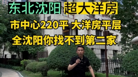 沈阳市中心220平 洋房平层 太稀缺了哔哩哔哩bilibili