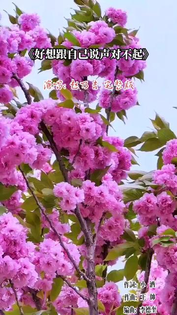 [图]赵乃吉《好想跟自己说声对不起》完整版~对得起所有唯独对不起自己,好想跟自己说声对不起