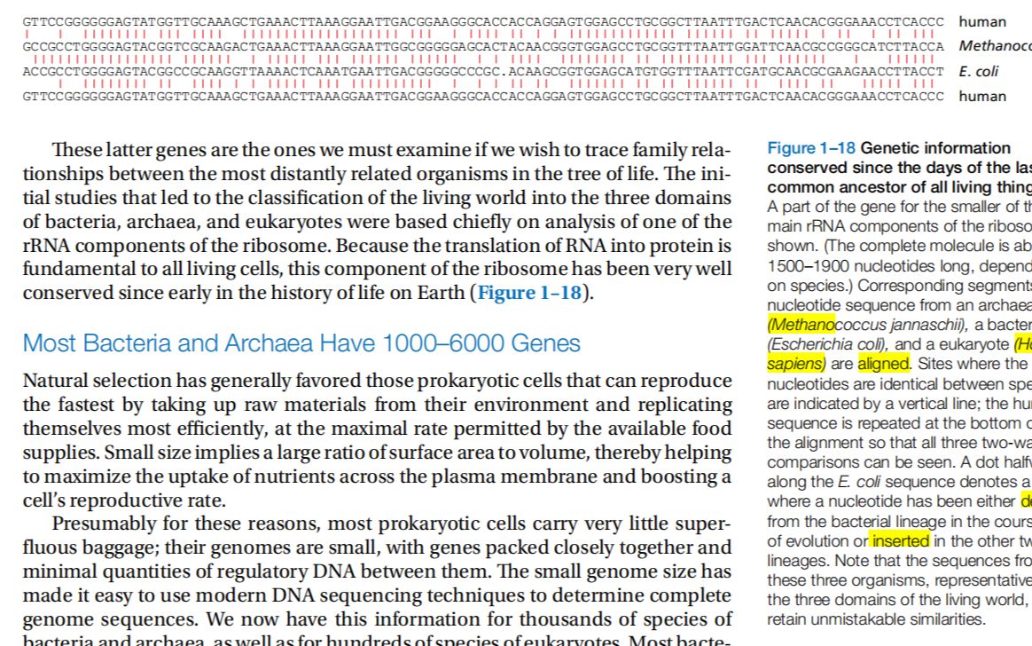 生物原版教科书《细胞的分子生物学》带读1.17一些基因进化很快哔哩哔哩bilibili