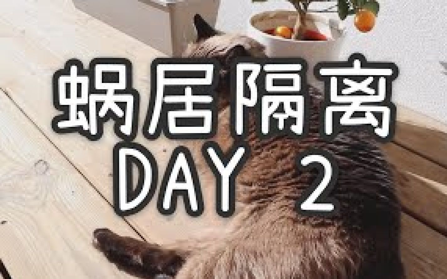 【法国新冠疫情Vlog】 DAY2 出门前的通行证怎么填?哔哩哔哩bilibili