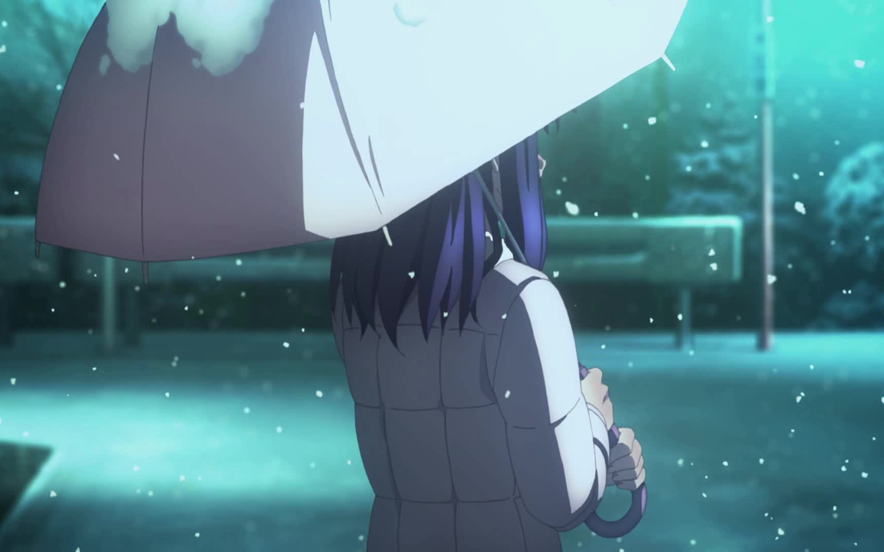 天之杯我想成为樱的正义的伙伴