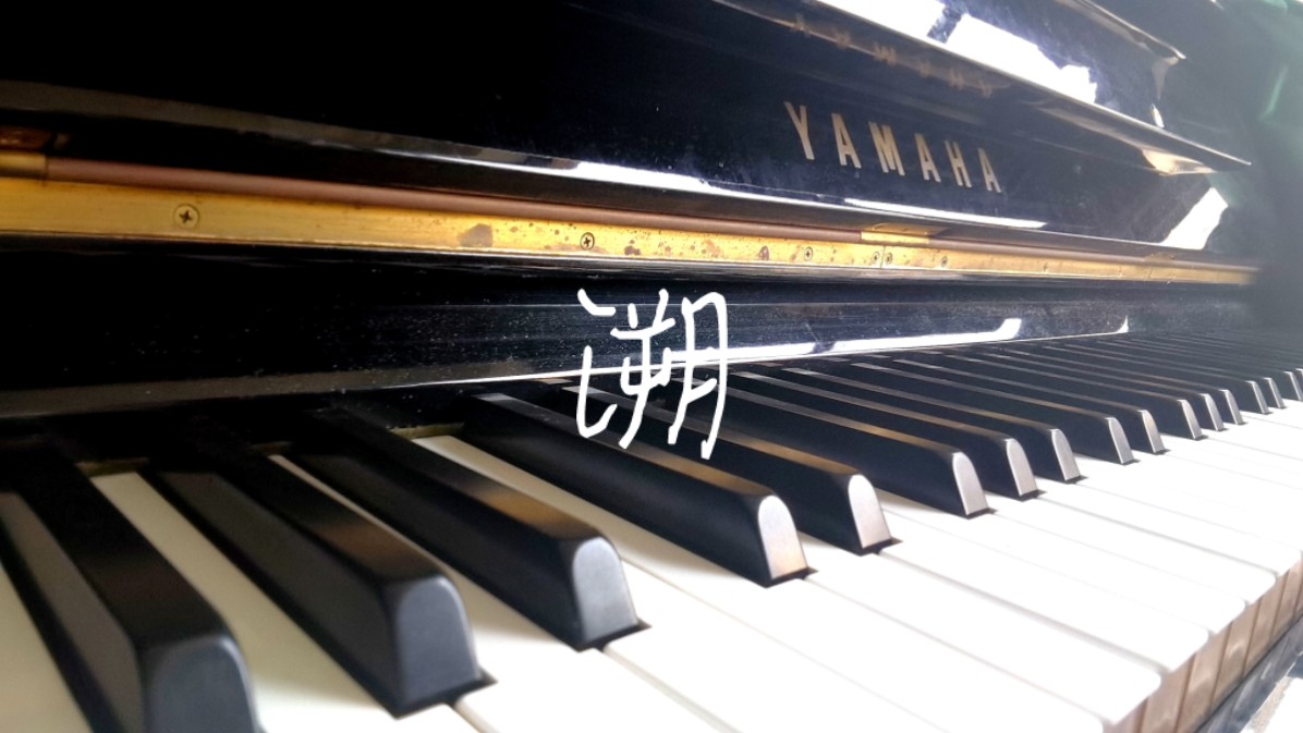 《溯》钢琴版"突然感觉尸体暖暖的哈哈哈"