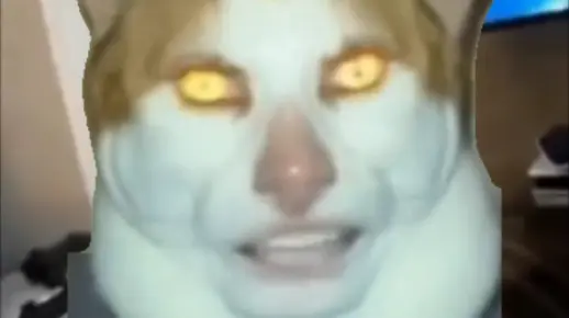 【猫猫meme】Lémǒn（Monday Left Me Broken）