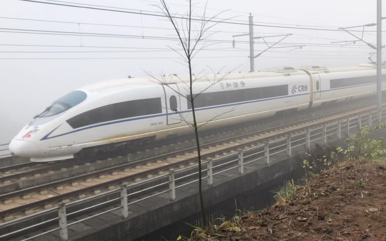 g2801成都东-昆明南(crh3c-3014-3019成都局)通过乐山兴福村 10:09