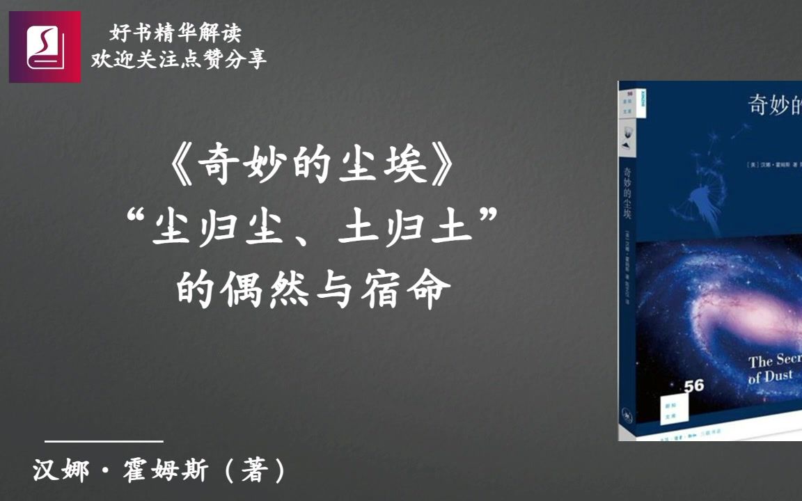 《奇妙的尘埃》“尘归尘、土归土”的偶然与宿命