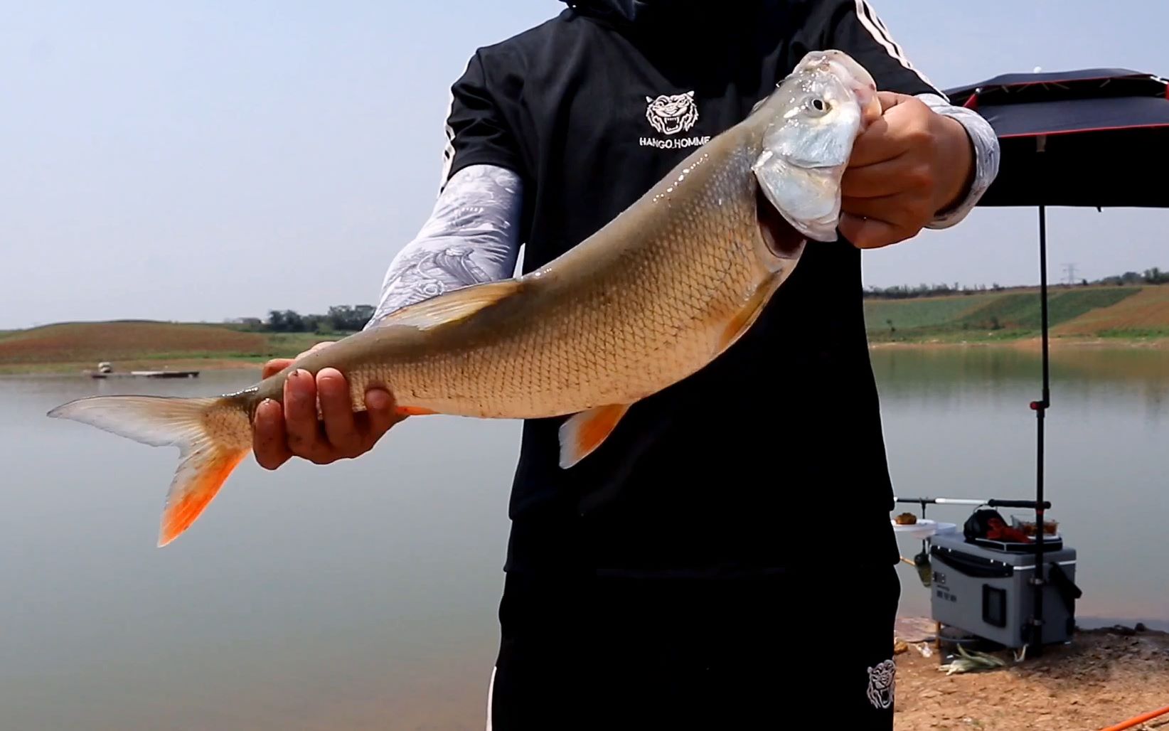 平原水库钓鱼有惊喜,第一次钓这么大的红尾,资源太好了!