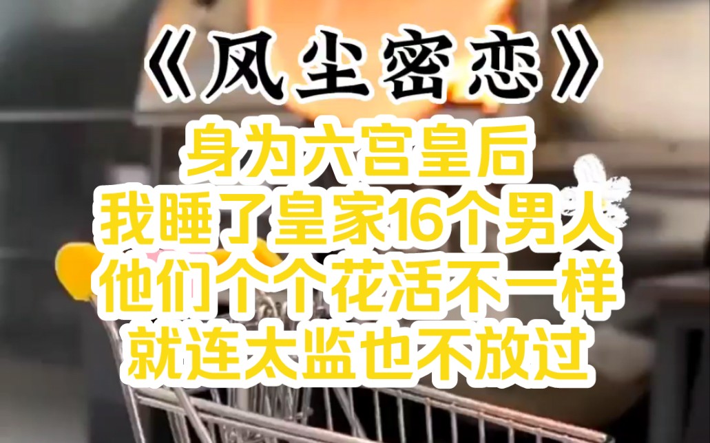 身为六宫皇后,我睡了皇家16个男人,就连太监也不放过……《风尘密恋》#书旗小说推荐#哔哩哔哩bilibili