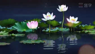 竖字视频素材可商用-梦幻荷塘荷花背景视频素材