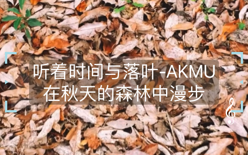 [图]【YG助眠歌单】听着《时间与落叶》-AKMU在秋天的森林中漫步