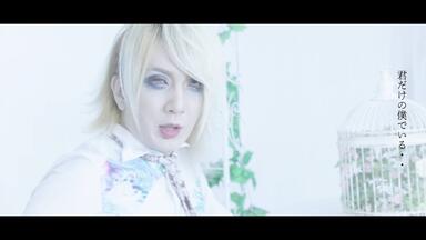 视觉系】【オトイロハ】ナガレボシ LIVE MV_哔哩哔哩_bilibili