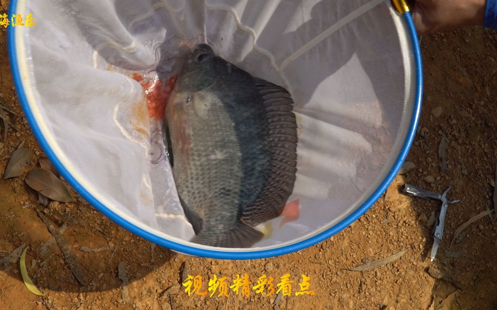 钓鱼技巧和龙水库钓大鱼上集