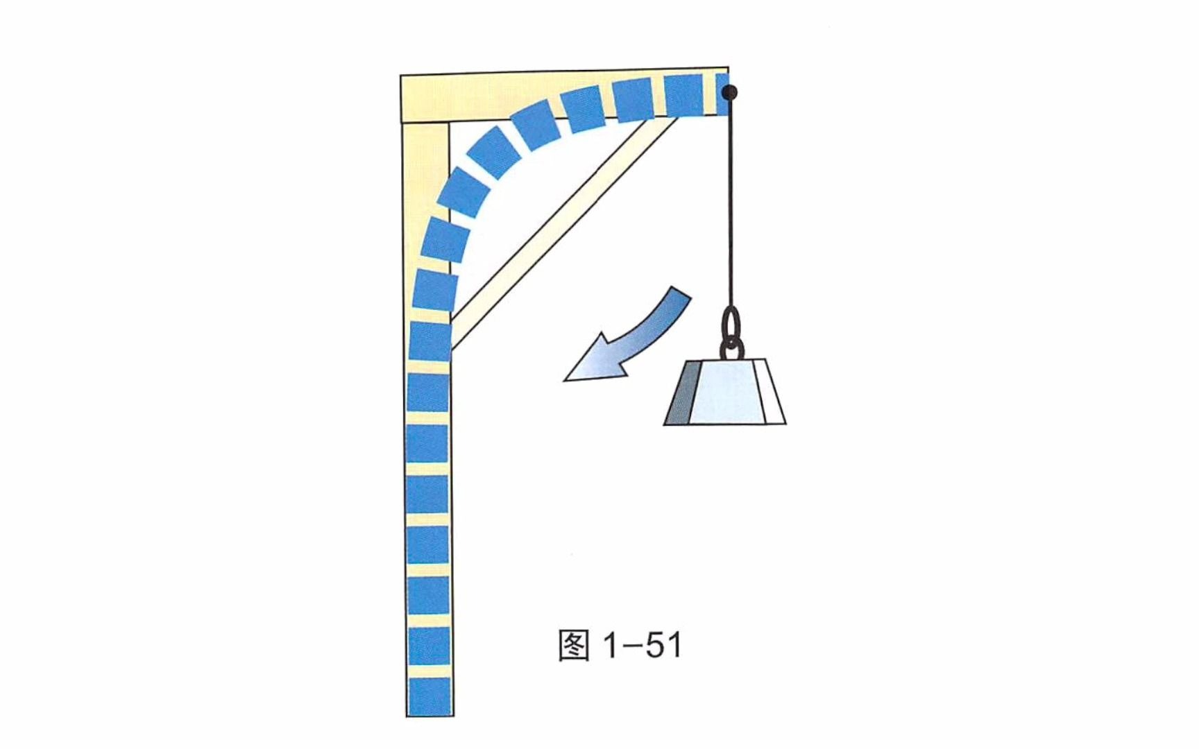 【骨关节功能解剖学】股骨和骨盆的结构哔哩哔哩bilibili