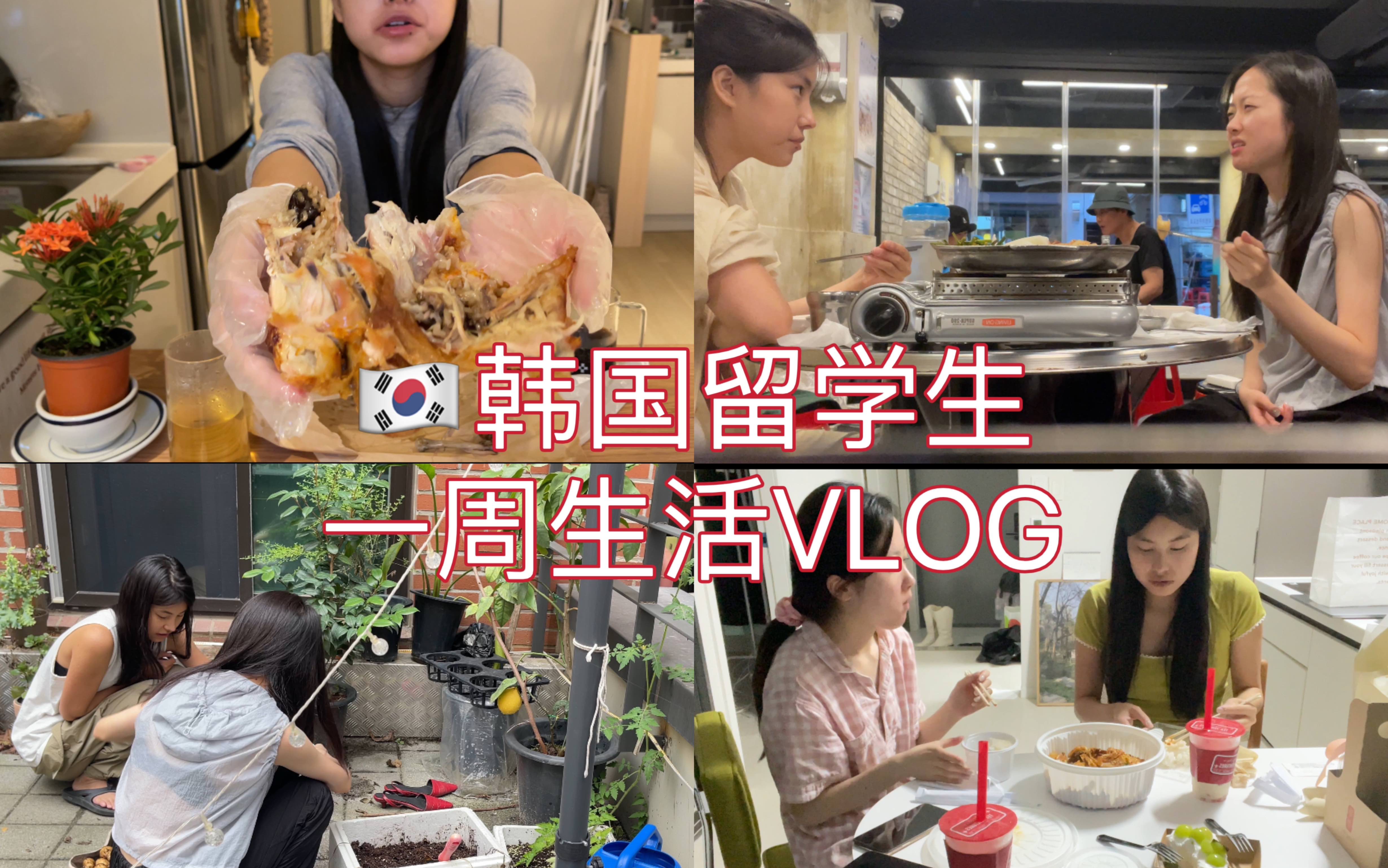 回归韩国留学生活|一周VLOG哔哩哔哩bilibili