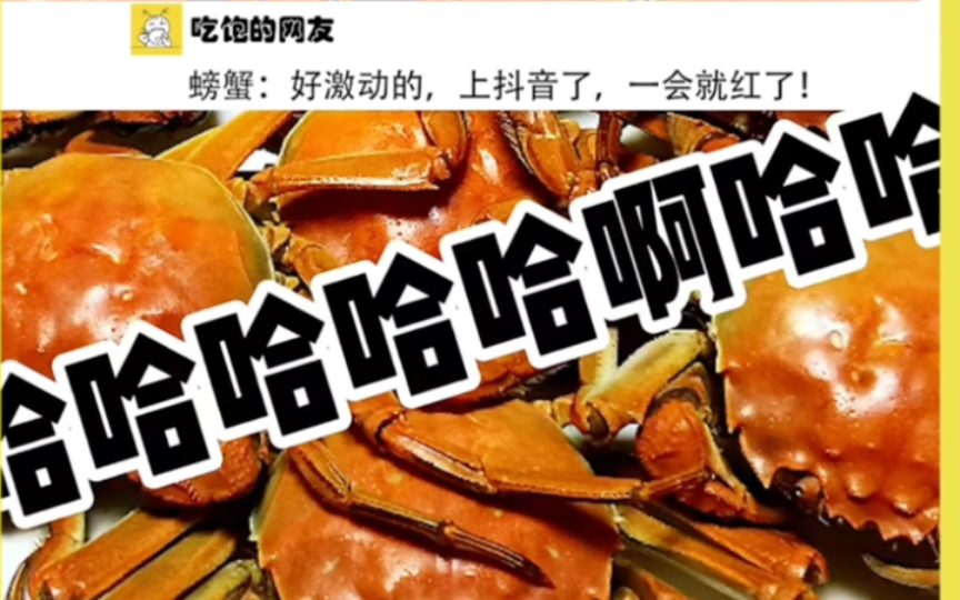 搞笑螃蟹:生活小乐趣!