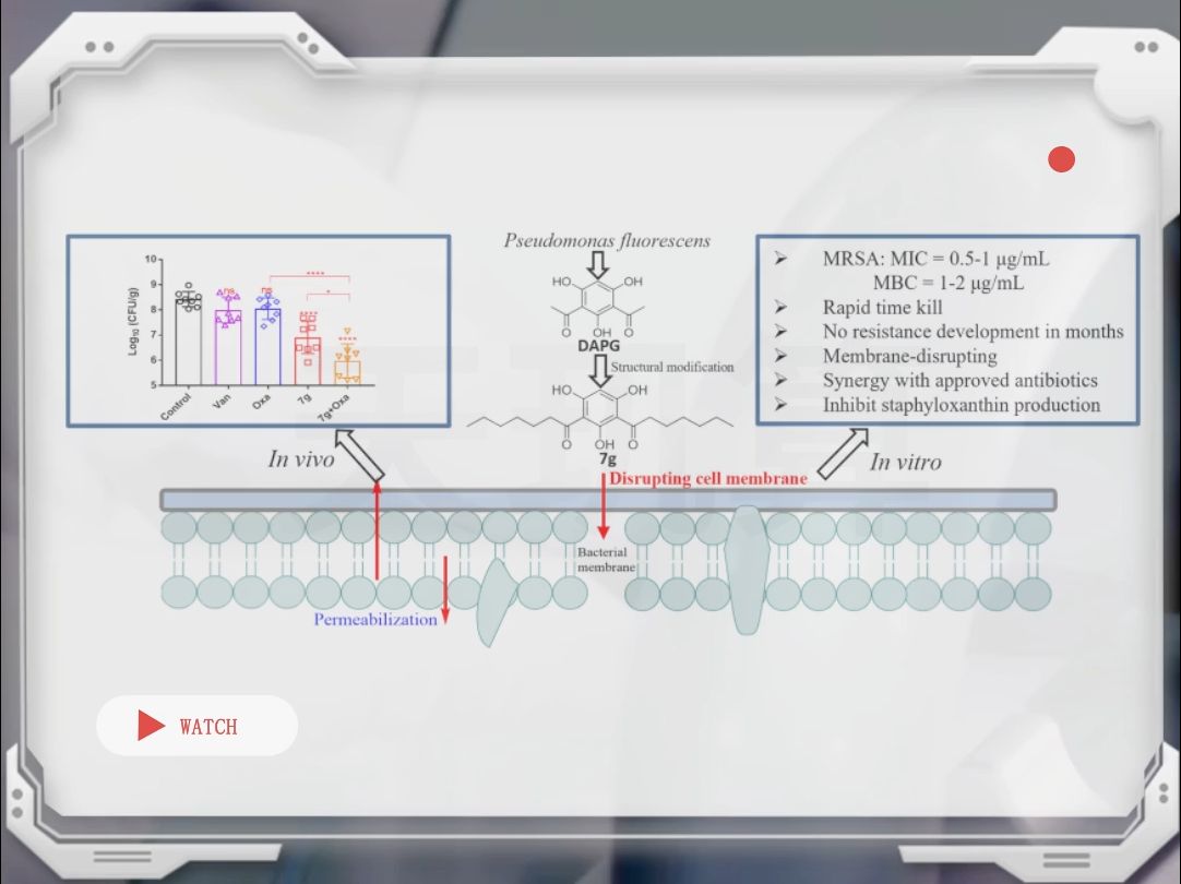 天玑算 | 分子动力学:基于计算模拟研究DAPG衍生物的杀菌机理哔哩哔哩bilibili