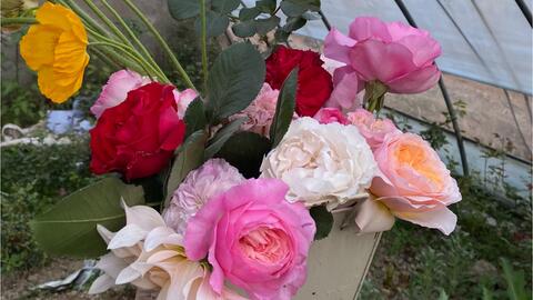 搜索 哔哩哔哩 つロ干杯 Bilibili