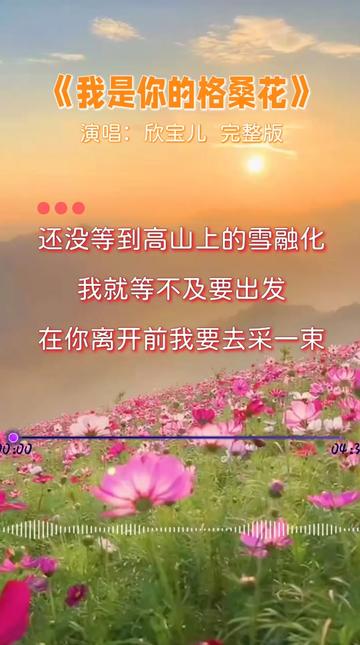 怀旧经典《你是我的格桑花》,演唱:欣宝儿,重温经典,百听不厌!哔哩哔哩bilibili