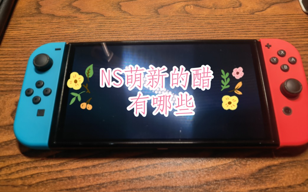 【ns配件展示】刚入手ns7天,看看提前买了多少醋,才包的这顿饺子.哔哩哔哩bilibili