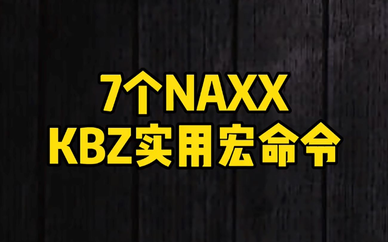 【老雷魔兽】7个狂暴战NAXX实用宏命令哔哩哔哩bilibili