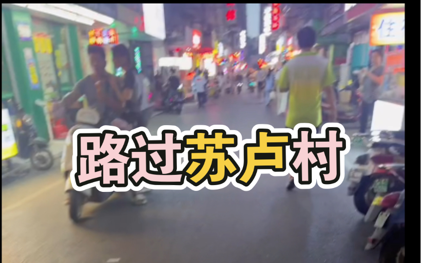 回国第14天—南宁苏卢村