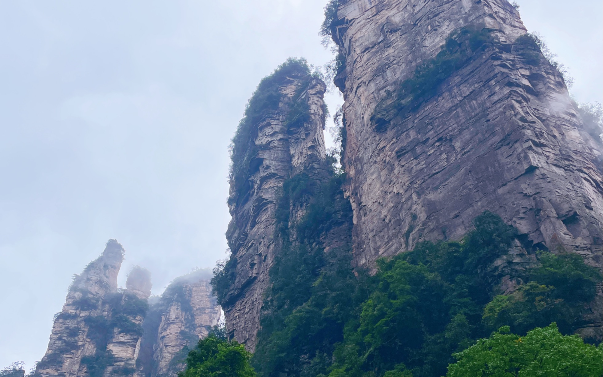 张家界|黄石寨风景,有雾也不遗憾,别有一番风味哔哩哔哩bilibili