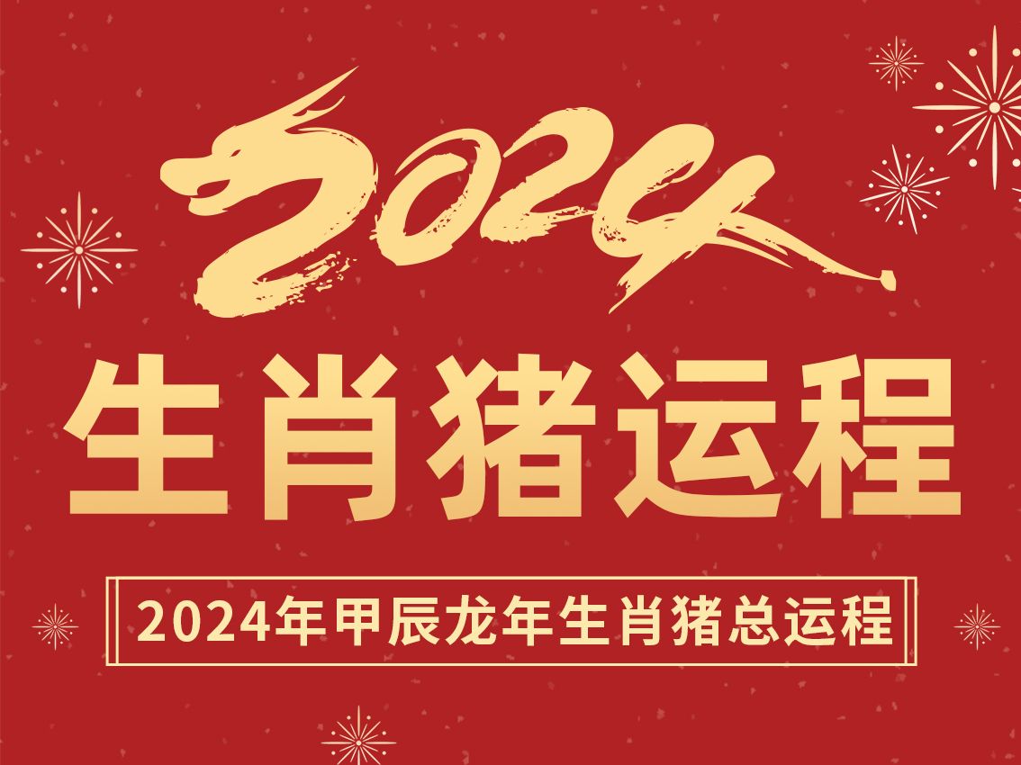 生肖猪2024甲辰龙年总运程:运逢官地、职位提升哔哩哔哩bilibili