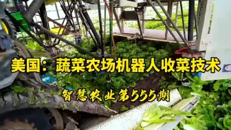 美国：加州蔬菜农场机器人收菜技术