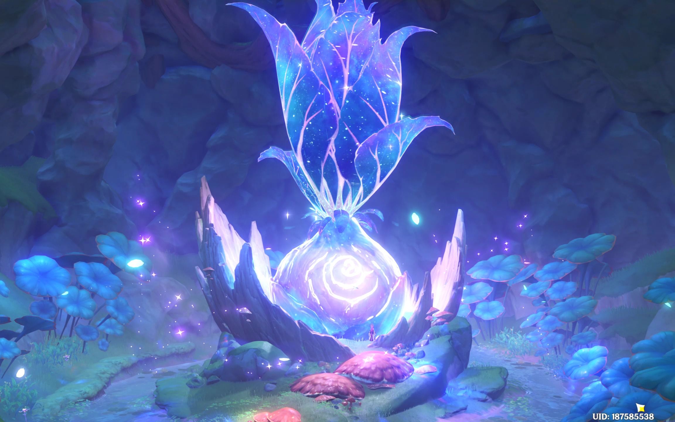 原神 3.0梦之树供奉(2)