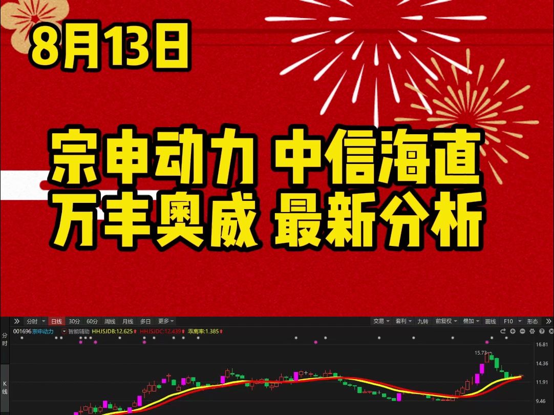 8月13日宗申动力、中信海直、万丰奥威最新主力动向,一眼看清哔哩哔哩bilibili