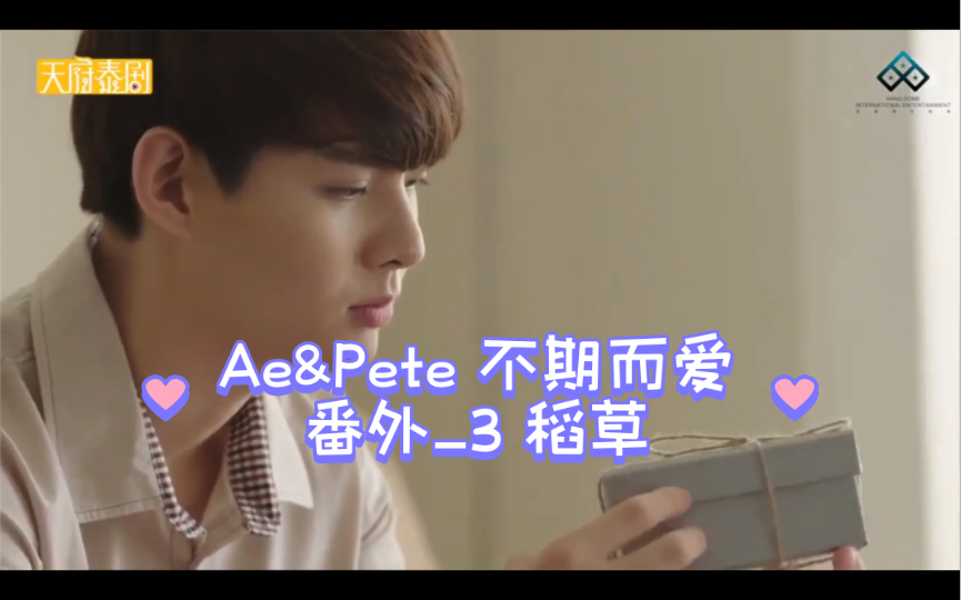 同人Ae&Pete不期而爱 番外Pete视角3稻草哔哩哔哩bilibili